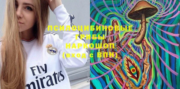 СК Пестово
