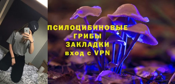 метадон Ветлуга