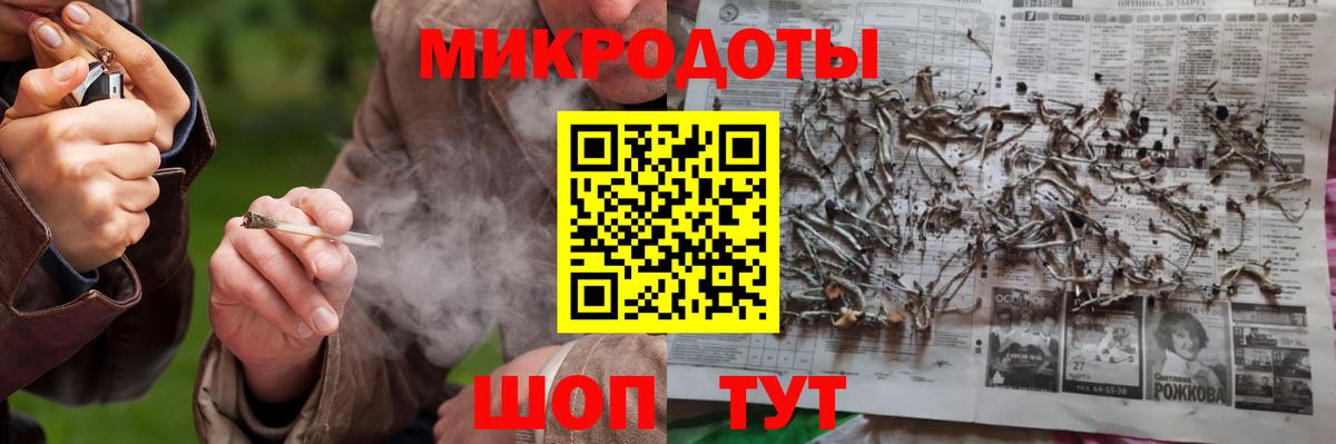 Галлюциногенные грибы Psilocybine cubensis Куйбышев